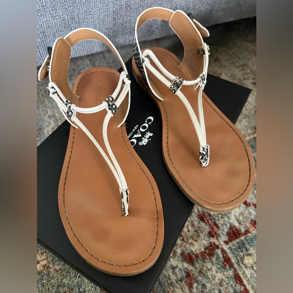 Coach Clarkson snake sandal